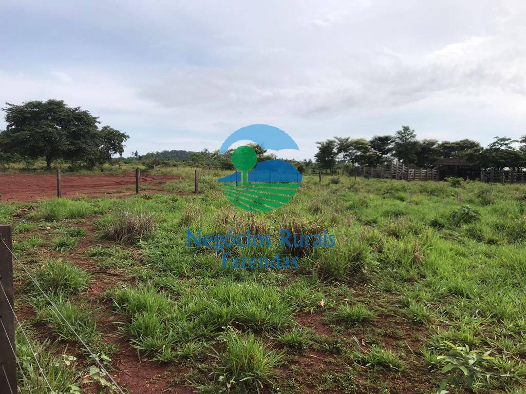 Fazenda de 4.598 ha em Cumaru do Norte, PA