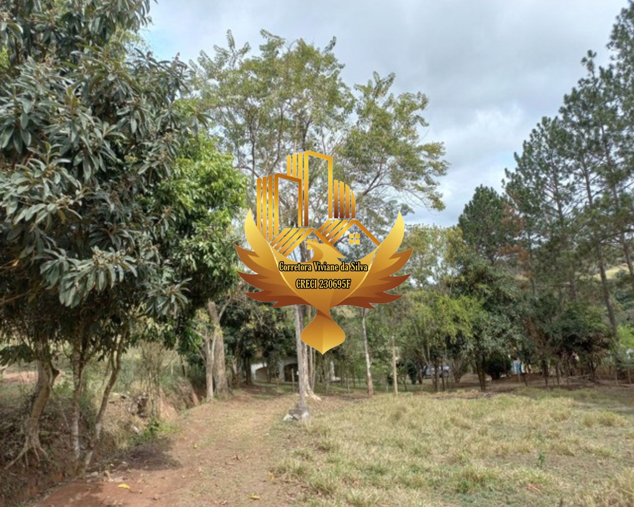 Sítio de 31 ha em São Luiz do Paraitinga, SP