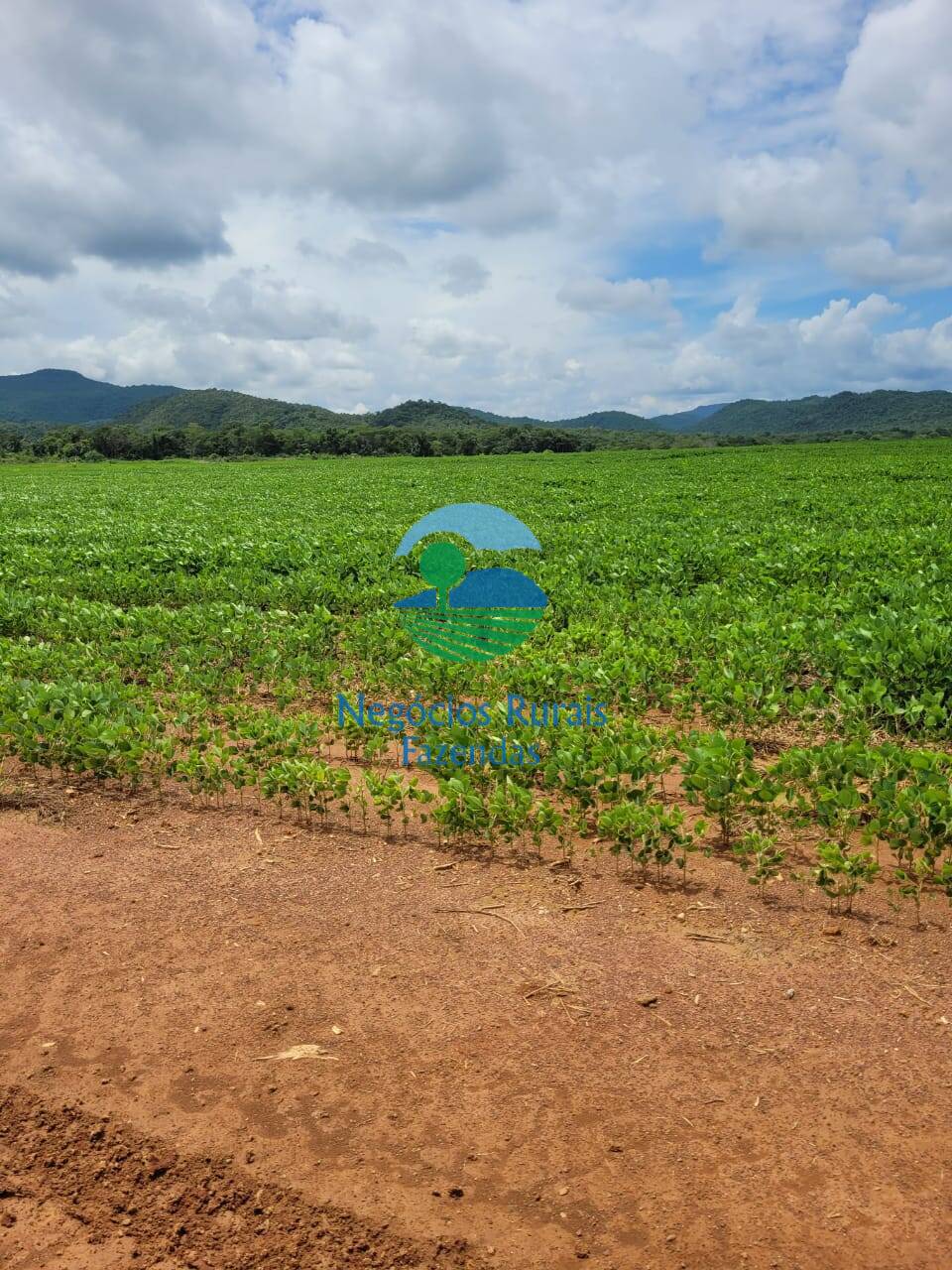 Fazenda de 513 ha em Silvanópolis, TO