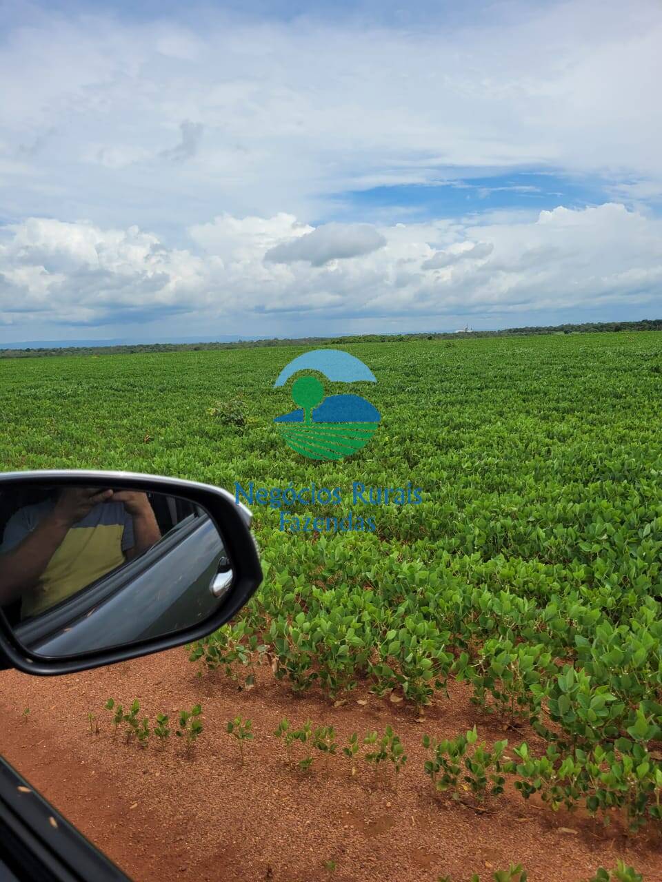 Fazenda de 513 ha em Silvanópolis, TO