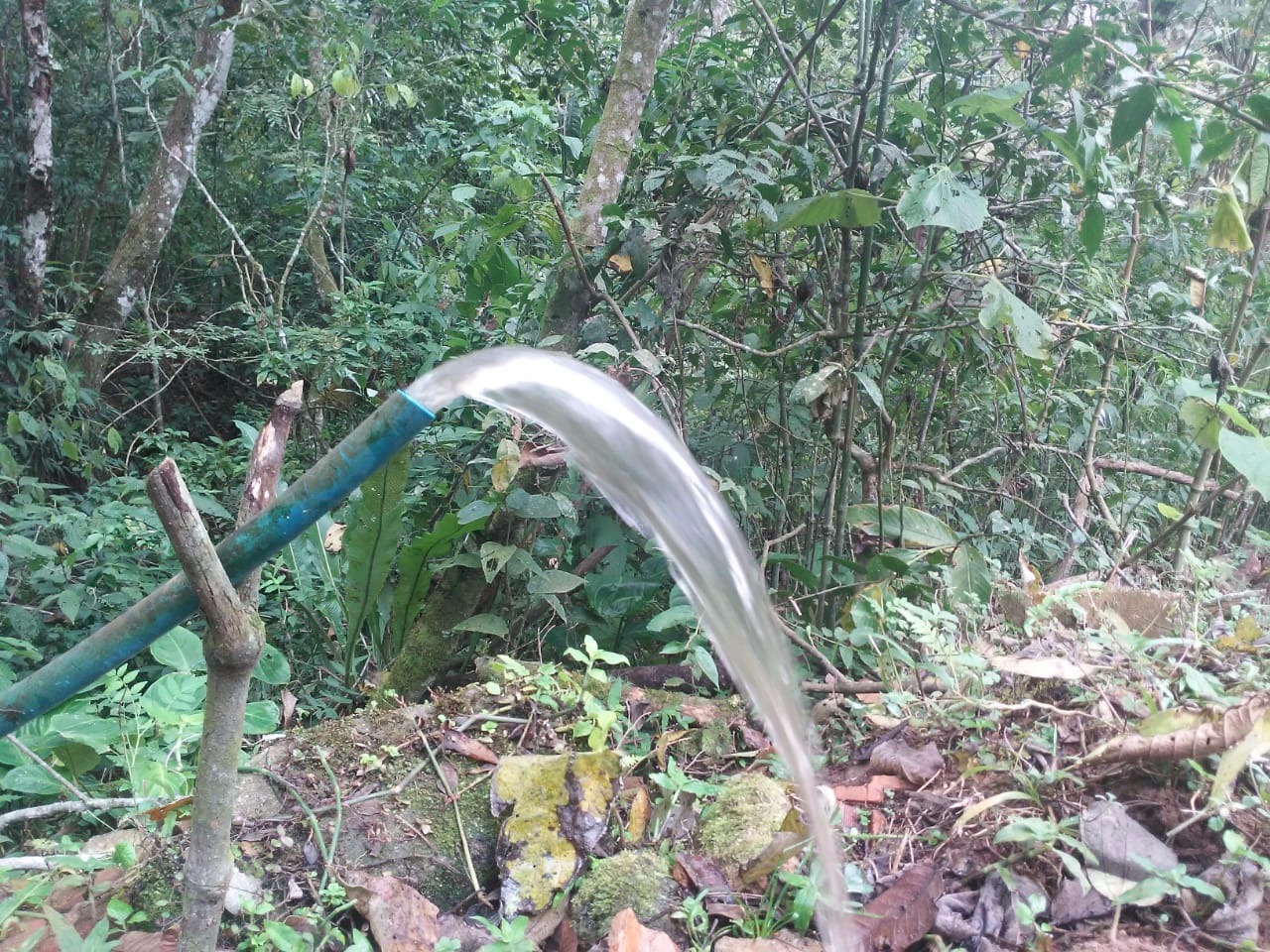 Terreno de 30 ha em Monteiro Lobato, SP