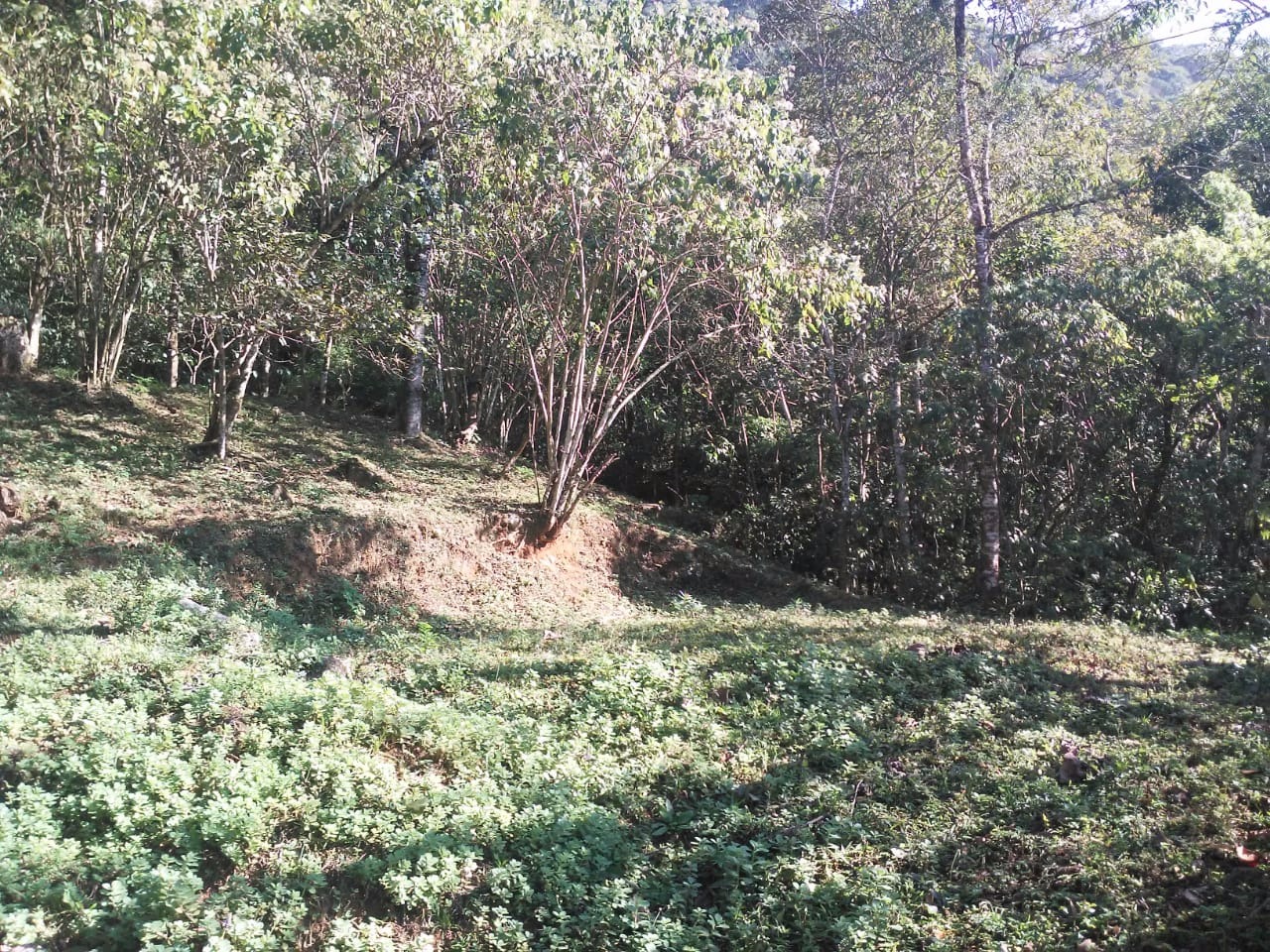 Terreno de 30 ha em Monteiro Lobato, SP