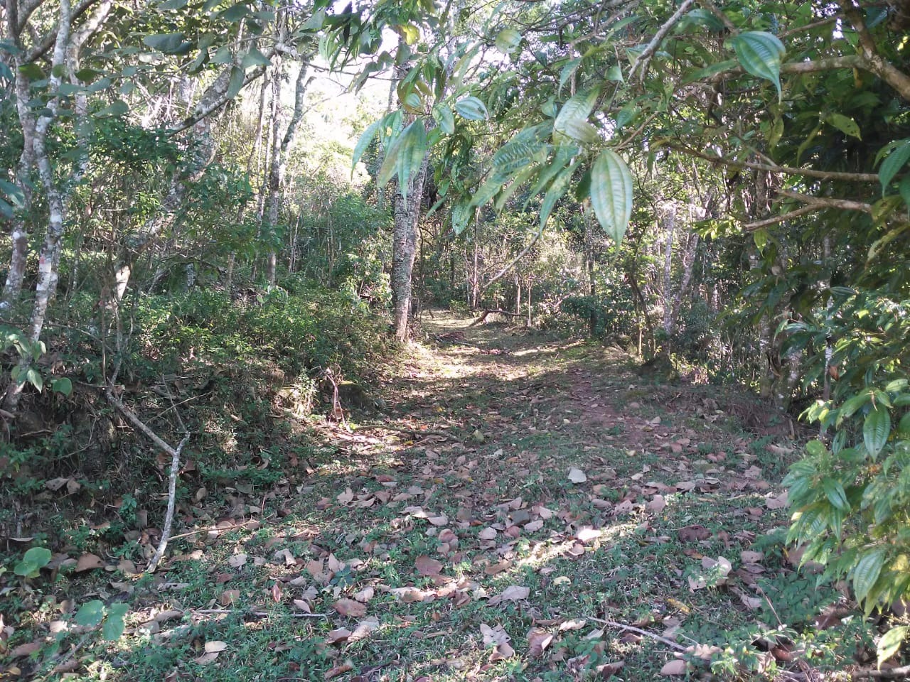 Terreno de 30 ha em Monteiro Lobato, SP