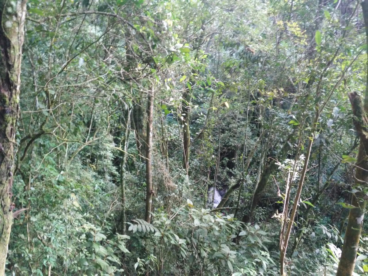 Terreno de 30 ha em Monteiro Lobato, SP