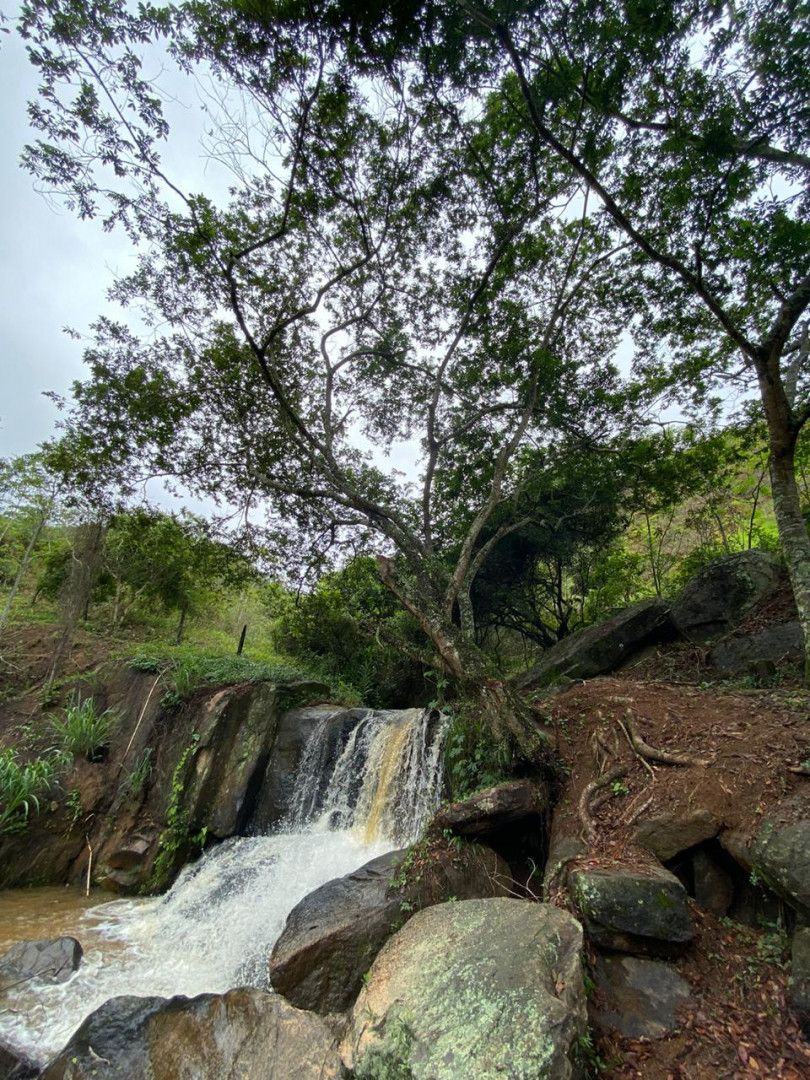 Chácara de 5 ha em Igrejinha, RS