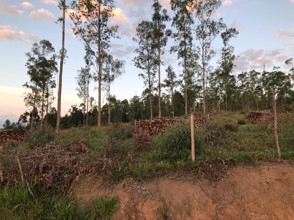 Terreno de 2.000 m² em Paraibuna, SP