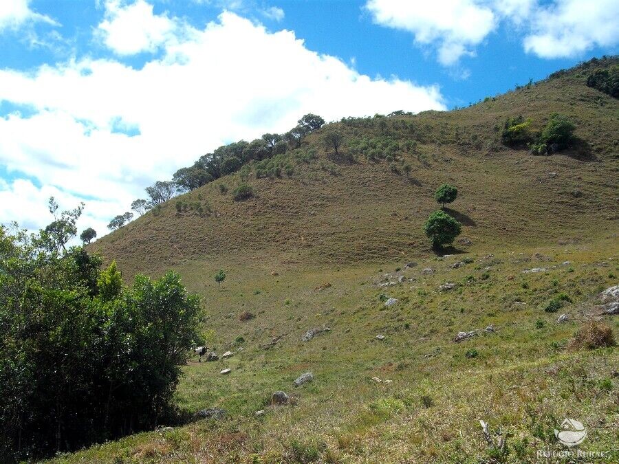 Sítio de 25 ha em Aiuruoca, MG