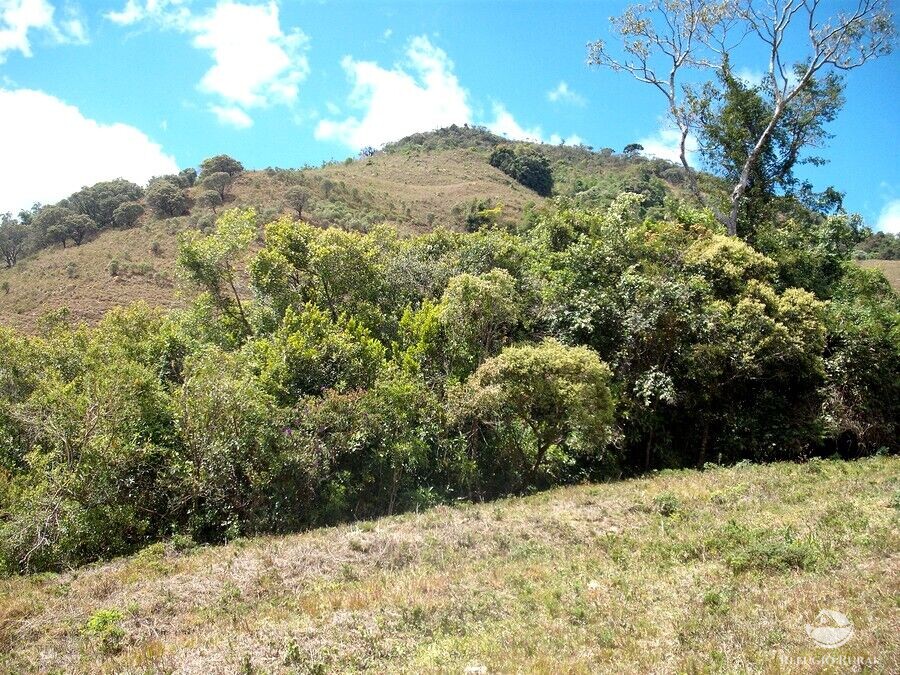 Sítio de 25 ha em Aiuruoca, MG