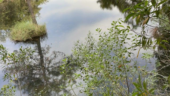 Chácara de 4.400 m² em Glorinha, RS