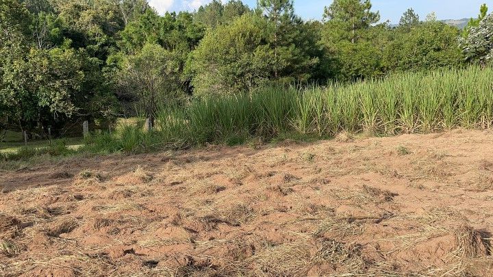 Chácara de 4.400 m² em Glorinha, RS