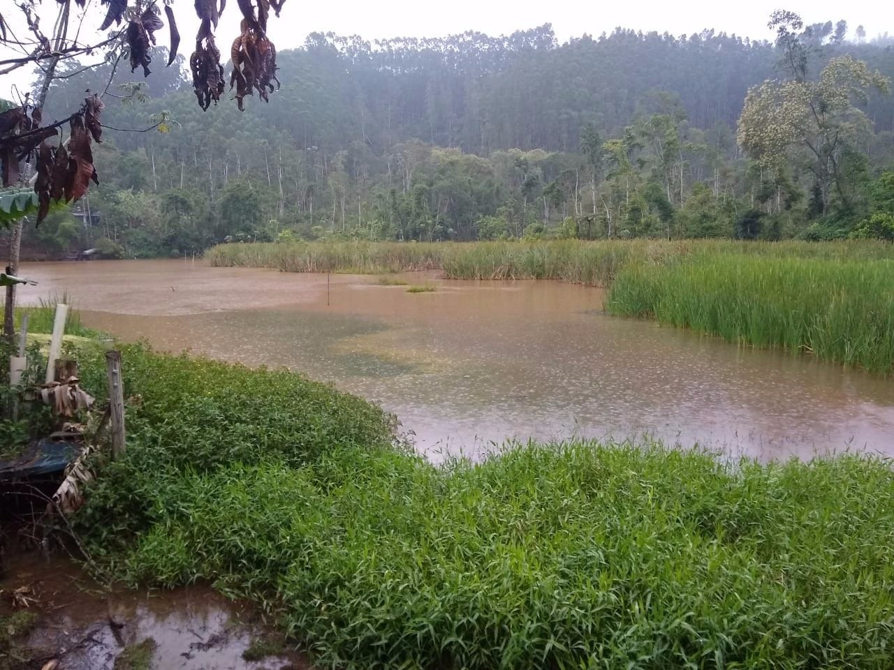 Chácara de 3.000 m² em Monteiro Lobato, SP