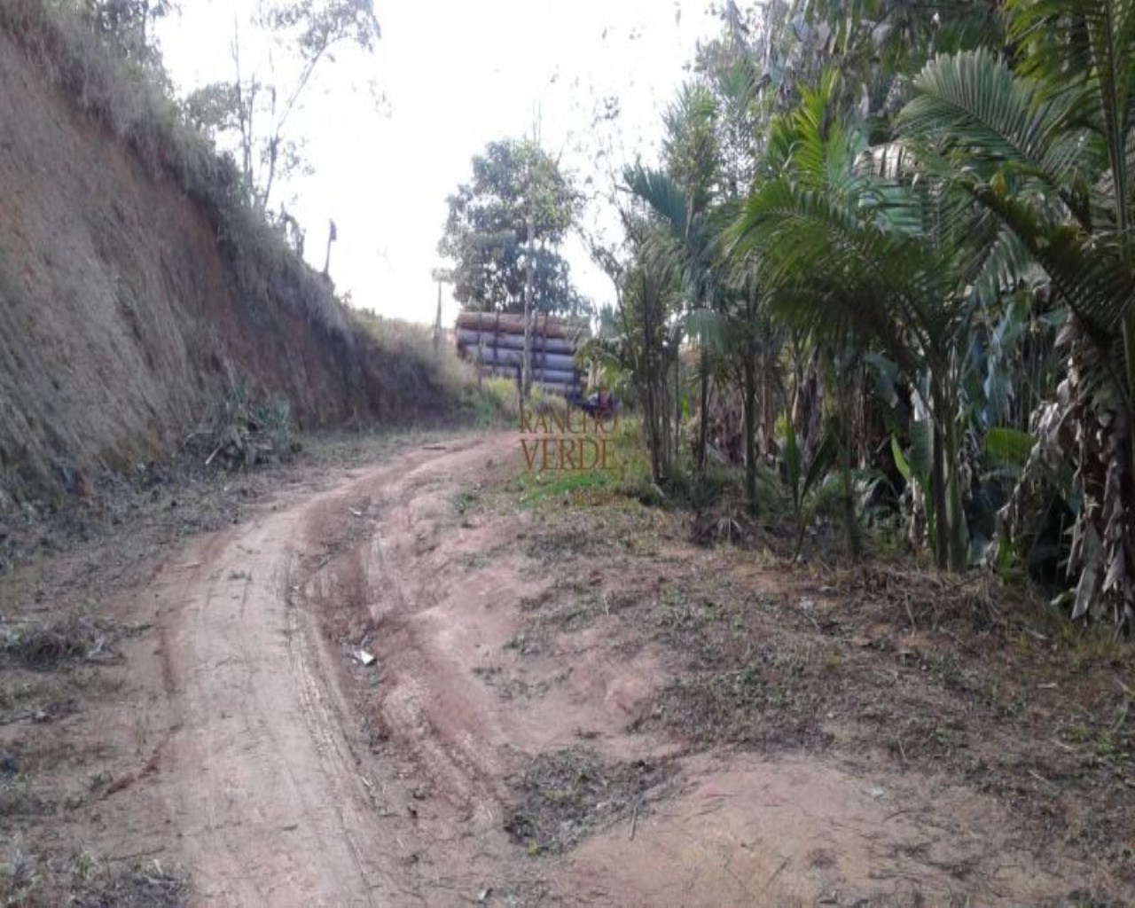 Chácara de 3 ha em Monteiro Lobato, SP