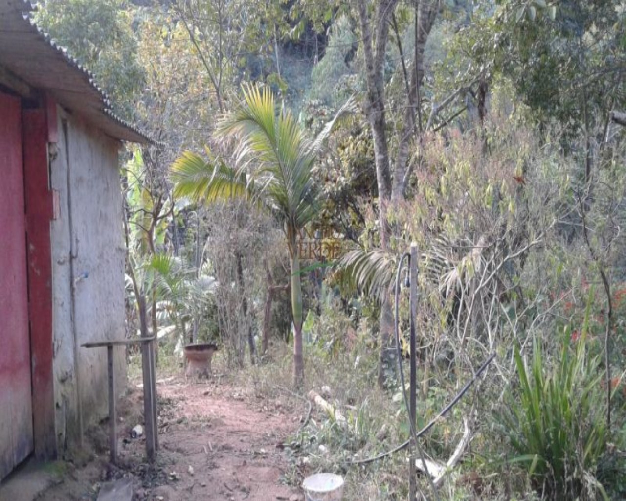 Chácara de 3 ha em Monteiro Lobato, SP