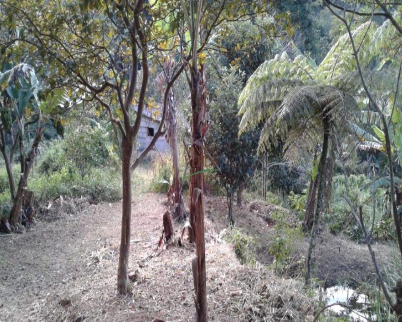 Chácara de 3 ha em Monteiro Lobato, SP