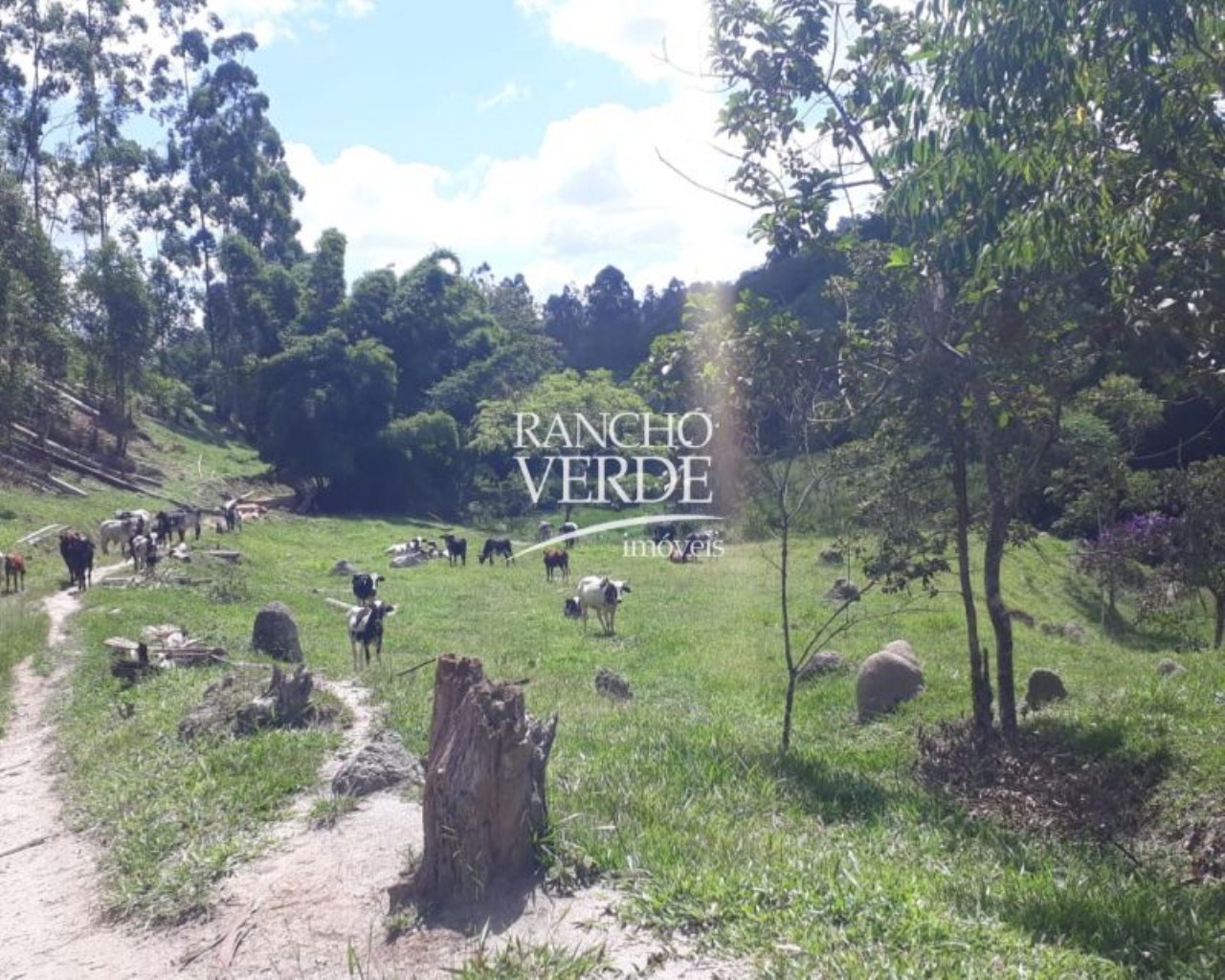 Terreno de 28 ha em Natividade da Serra, SP