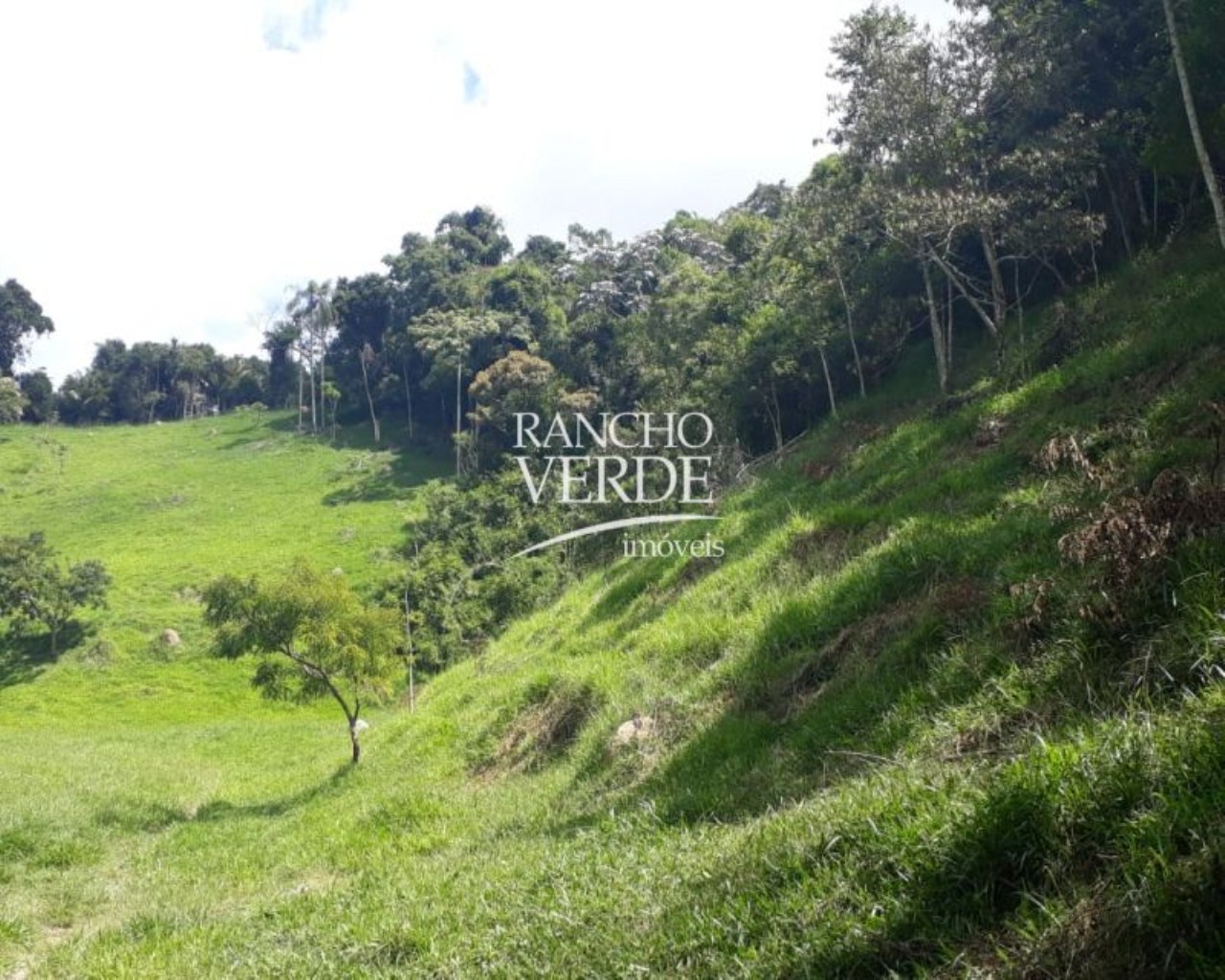 Terreno de 28 ha em Natividade da Serra, SP