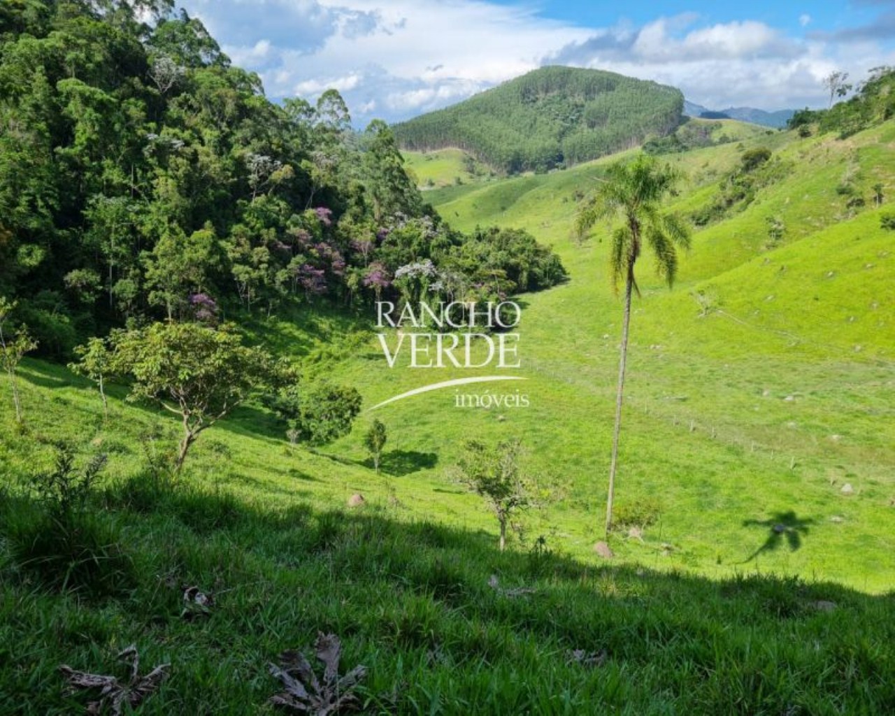 Terreno de 28 ha em Natividade da Serra, SP