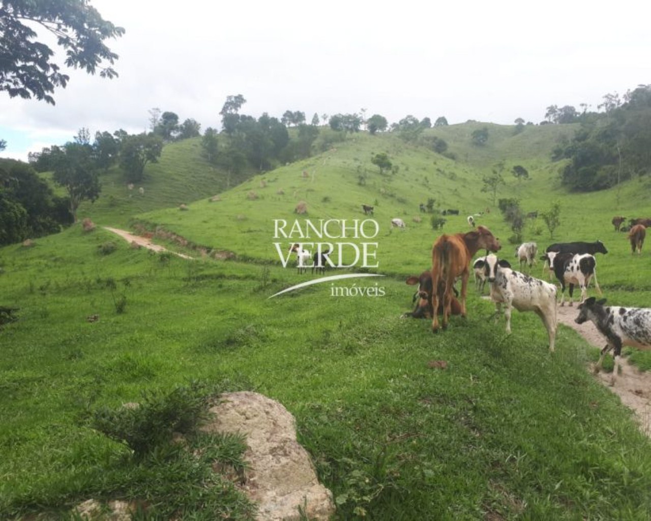 Terreno de 28 ha em Natividade da Serra, SP