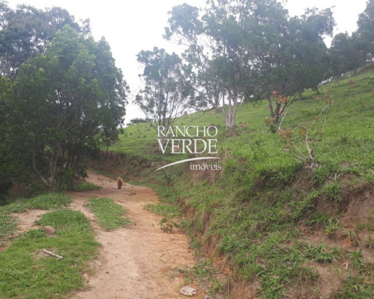 Terreno de 28 ha em Natividade da Serra, SP