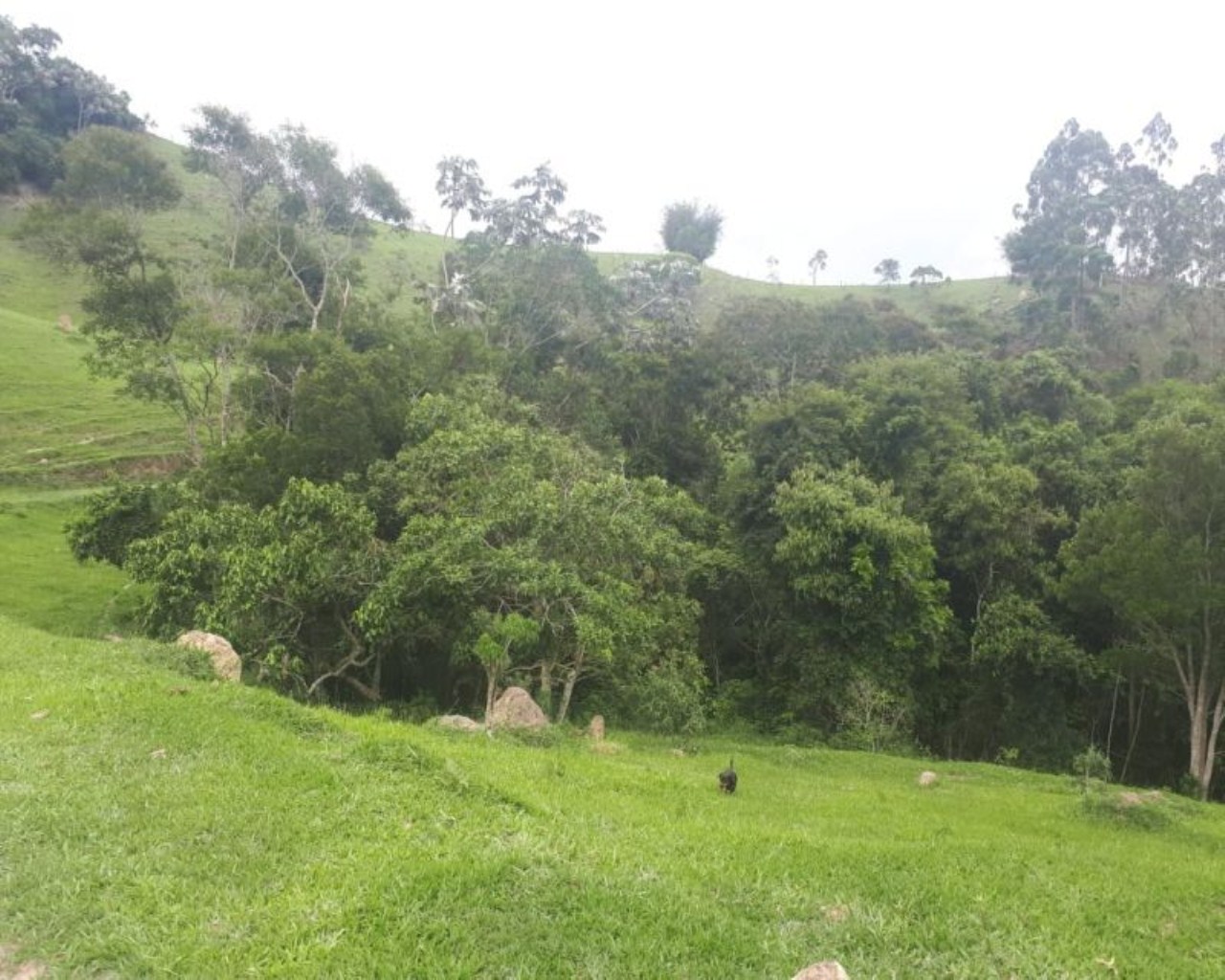 Terreno de 28 ha em Natividade da Serra, SP