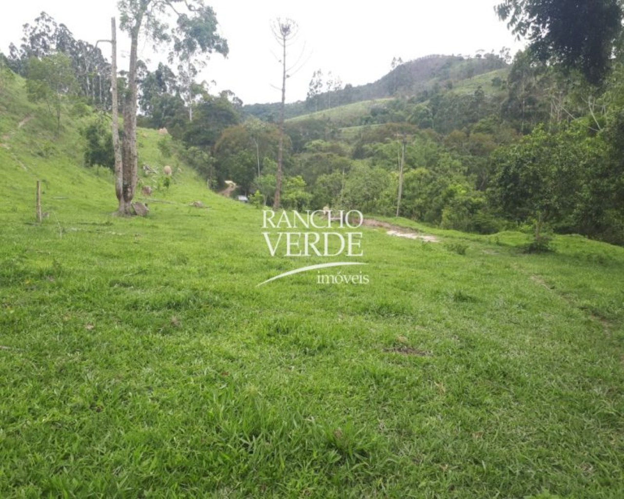 Terreno de 28 ha em Natividade da Serra, SP