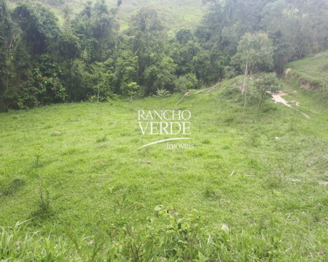 Terreno de 28 ha em Natividade da Serra, SP