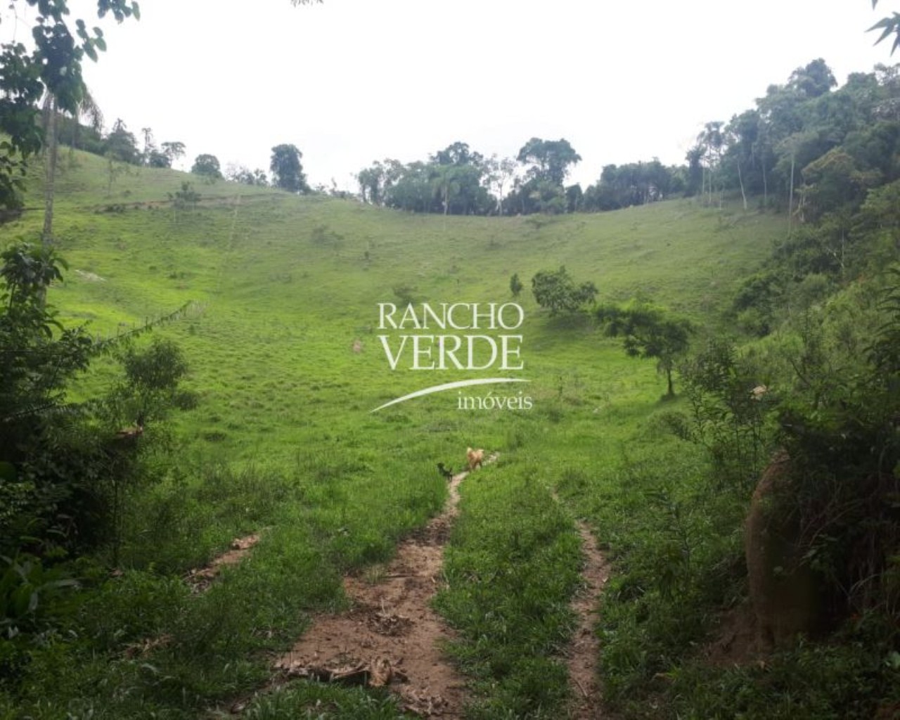 Terreno de 28 ha em Natividade da Serra, SP