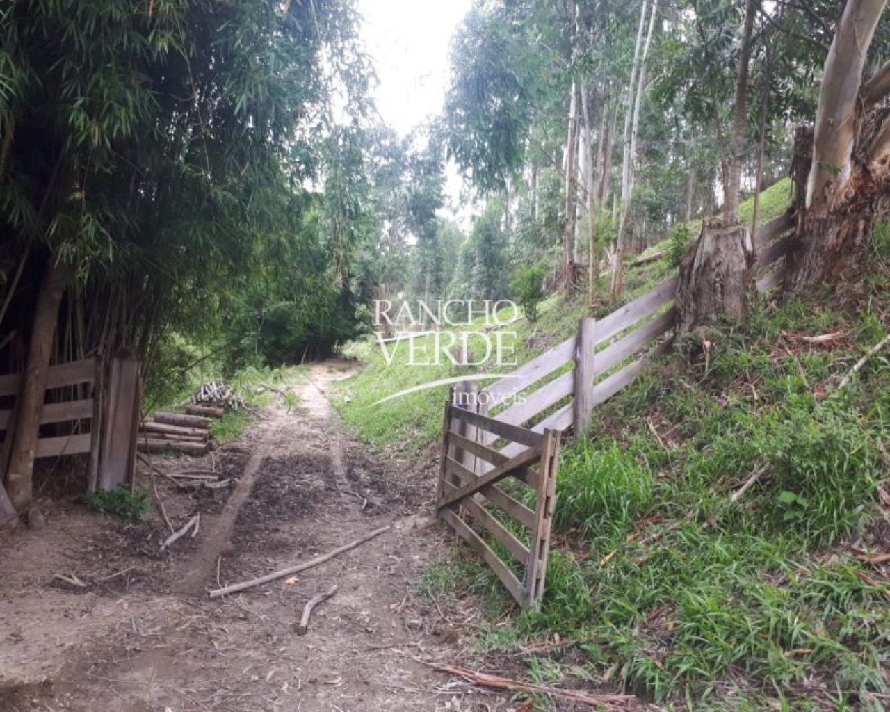 Terreno de 28 ha em Natividade da Serra, SP