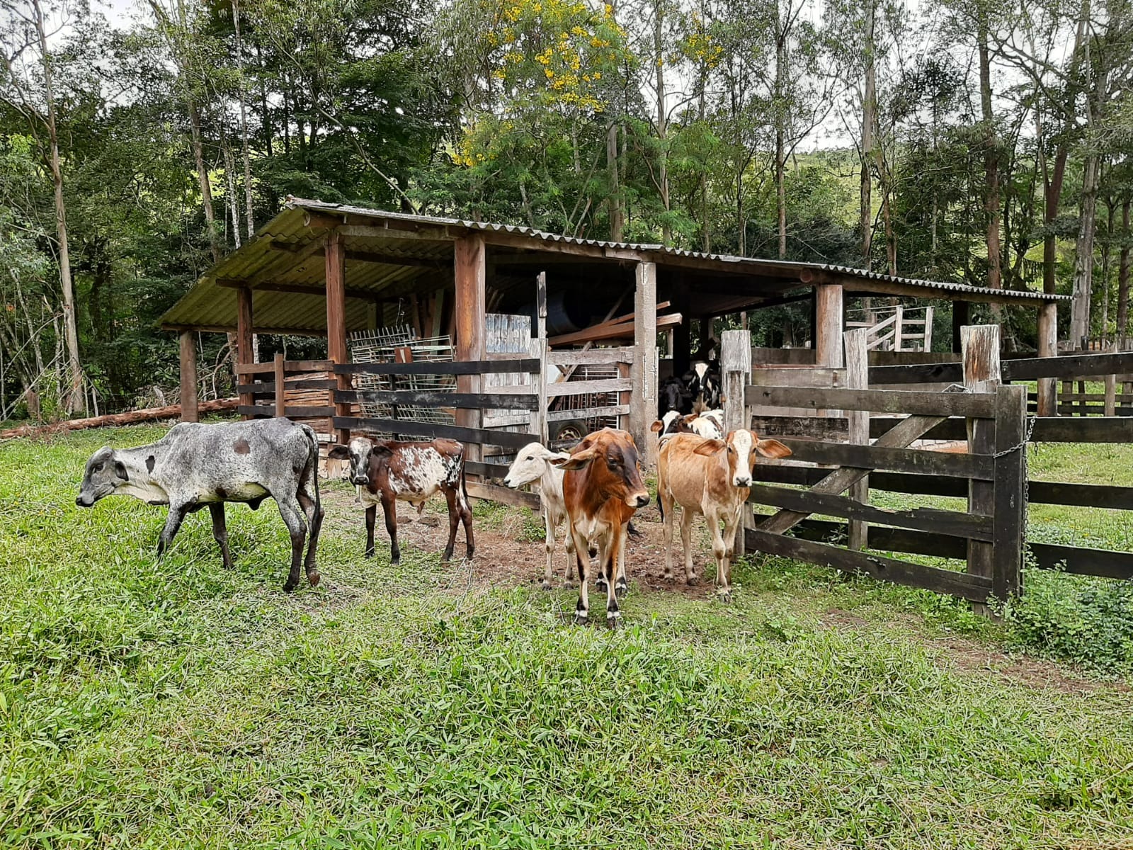 Sítio de 24 ha em São José dos Campos, SP