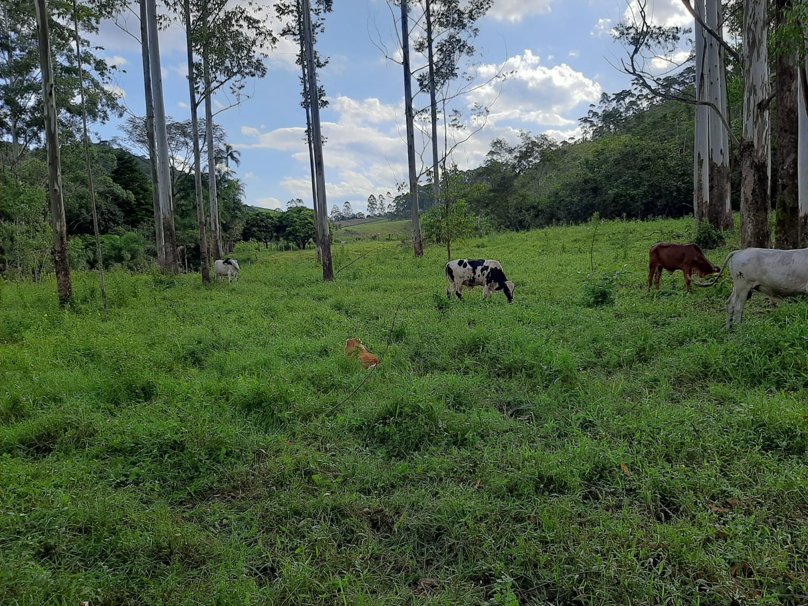 Sítio de 24 ha em São José dos Campos, SP