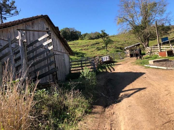 Terreno de 4 ha em Rolante, RS