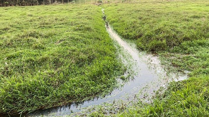 Chácara de 5 ha em Santo Antônio da Patrulha, RS