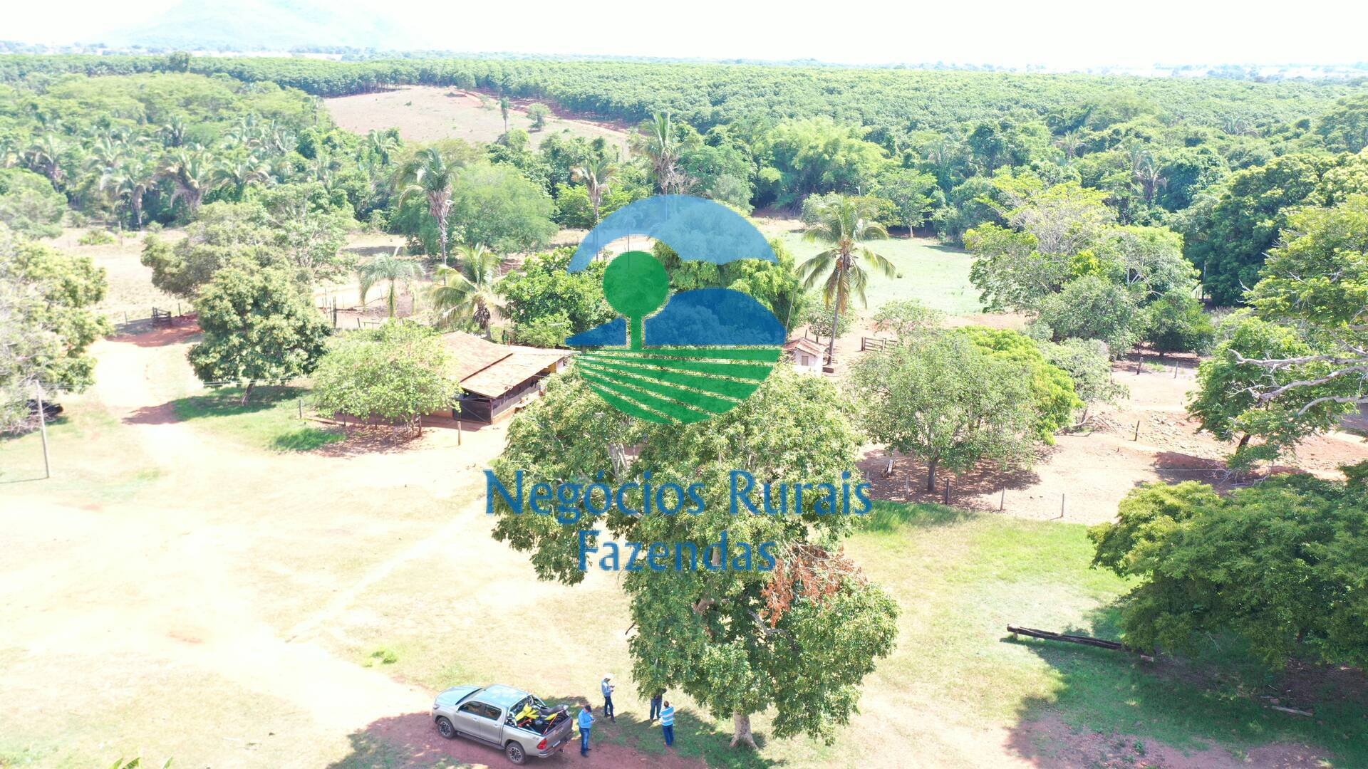 Fazenda de 1.258 ha em Palmeirópolis, TO