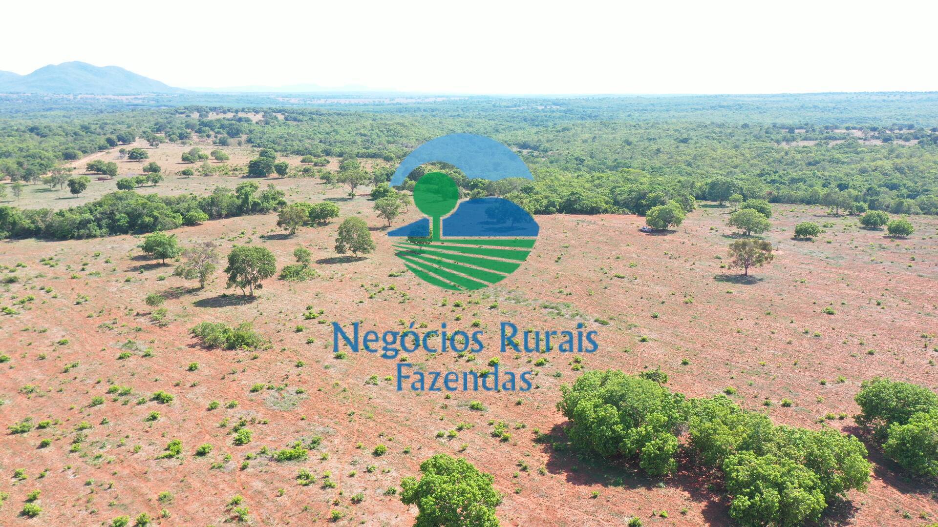 Fazenda de 1.258 ha em Palmeirópolis, TO