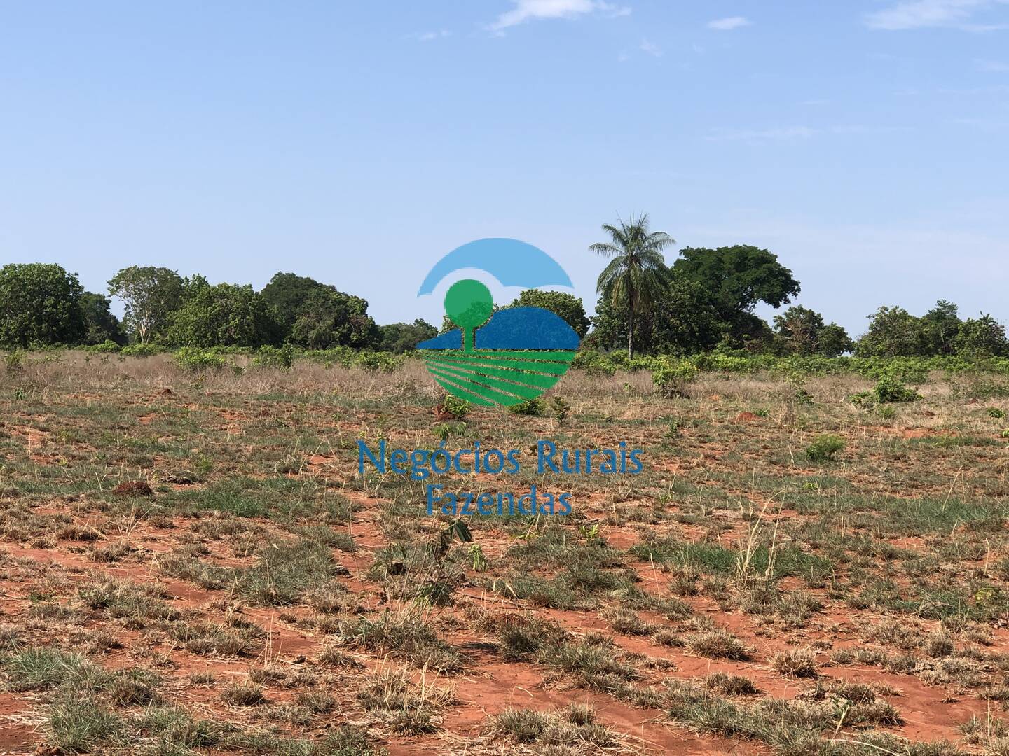 Fazenda de 1.258 ha em Palmeirópolis, TO