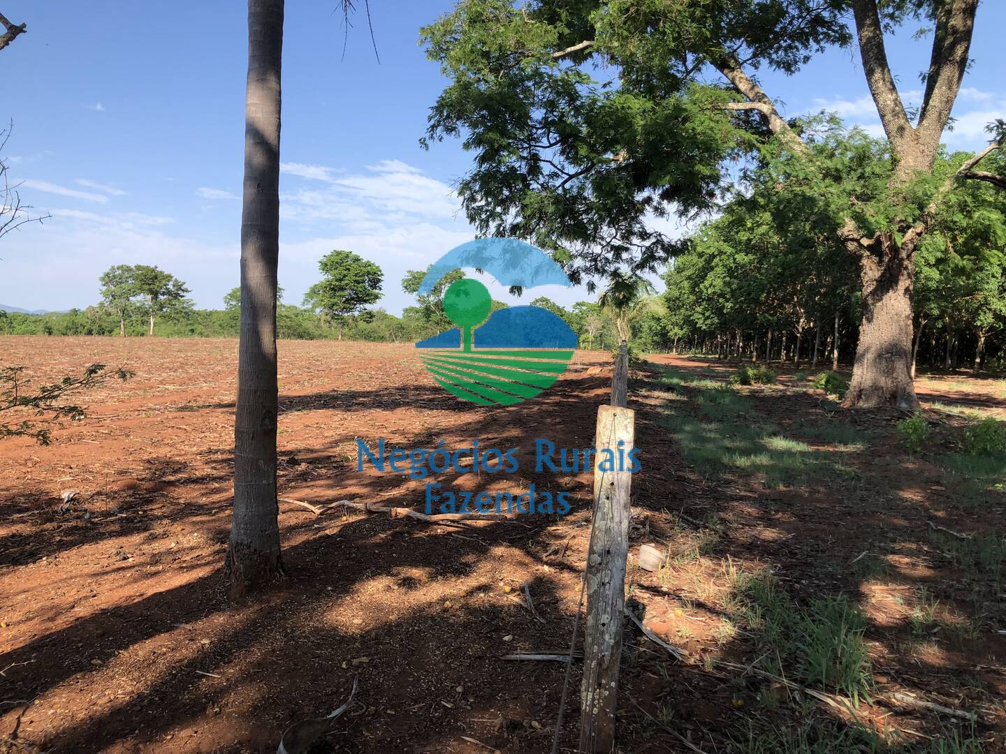 Fazenda de 1.258 ha em Palmeirópolis, TO