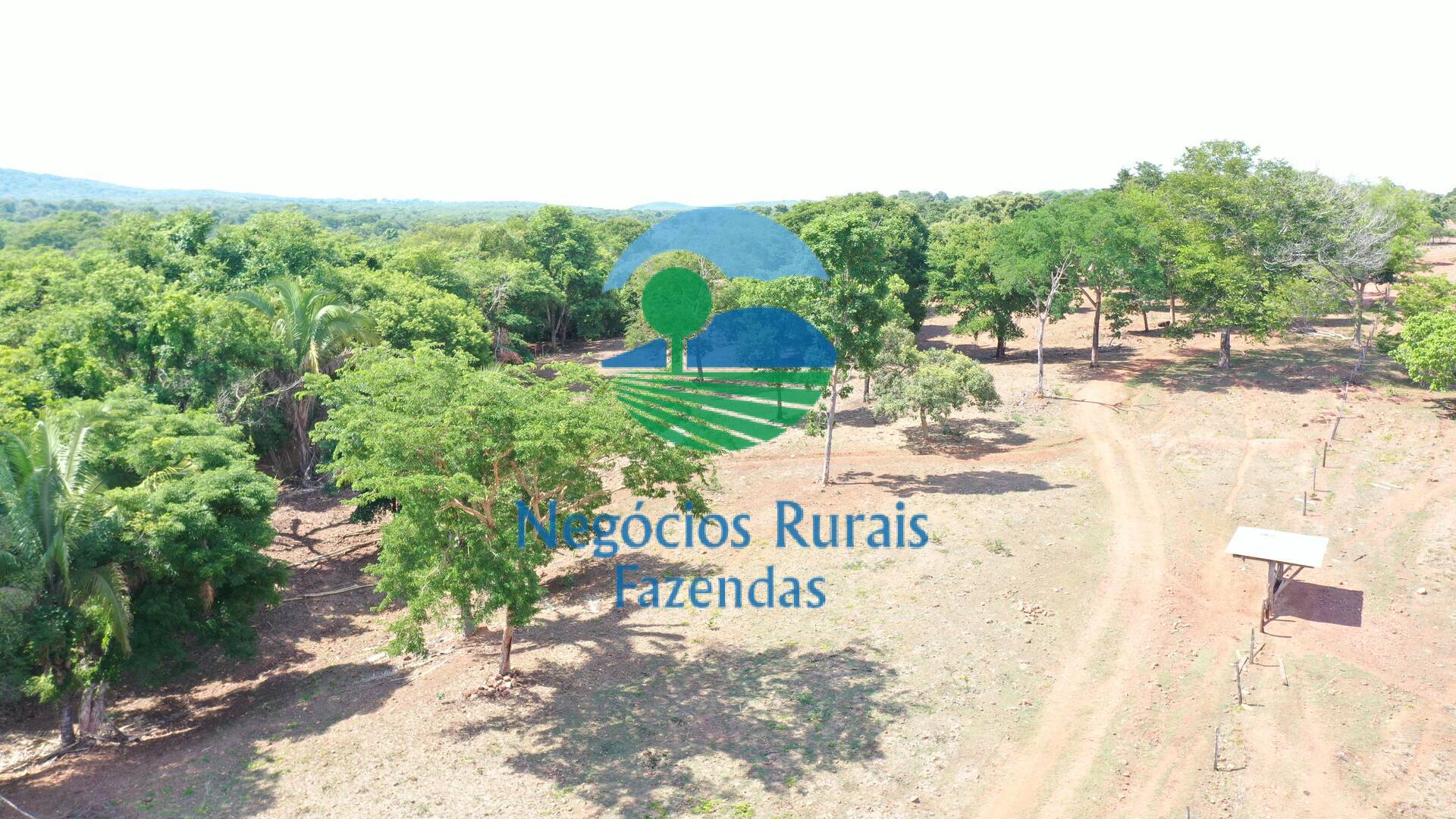 Fazenda de 1.258 ha em Palmeirópolis, TO