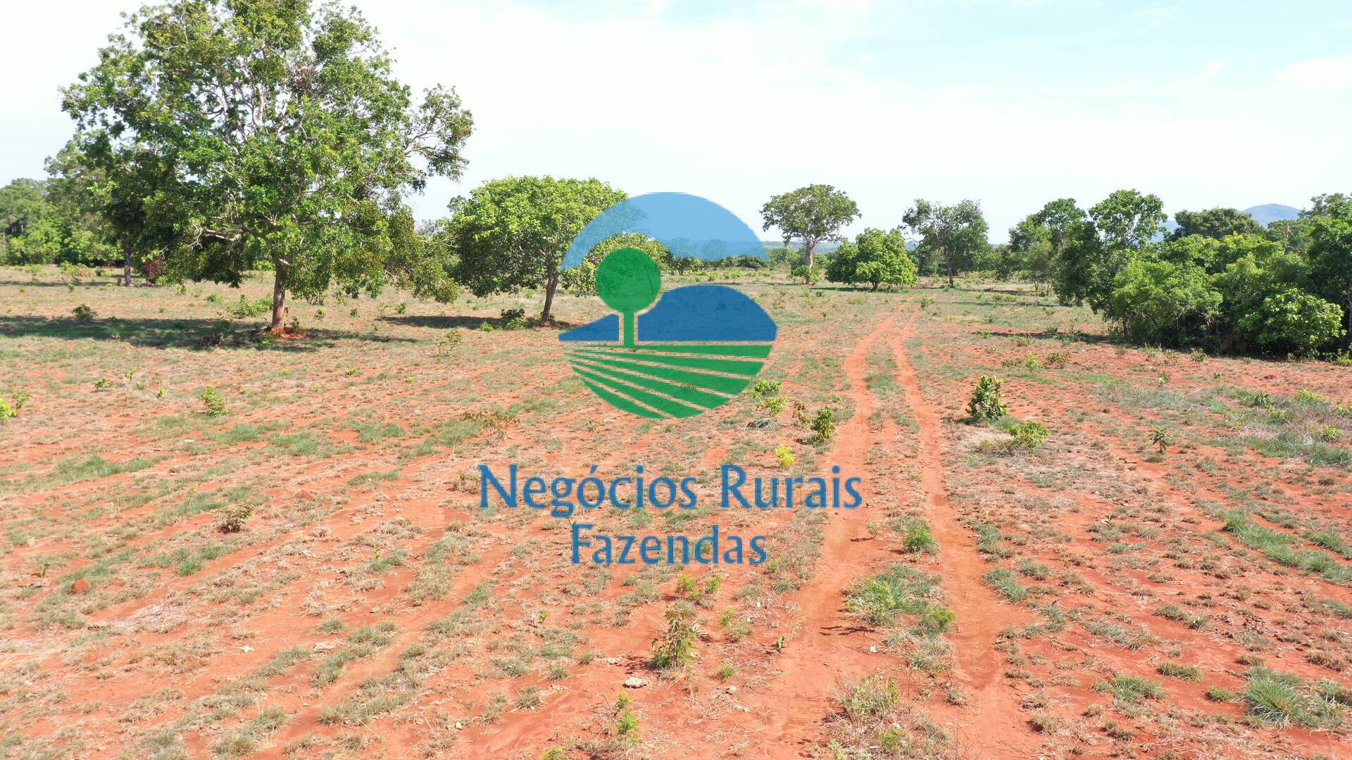 Fazenda de 1.258 ha em Palmeirópolis, TO