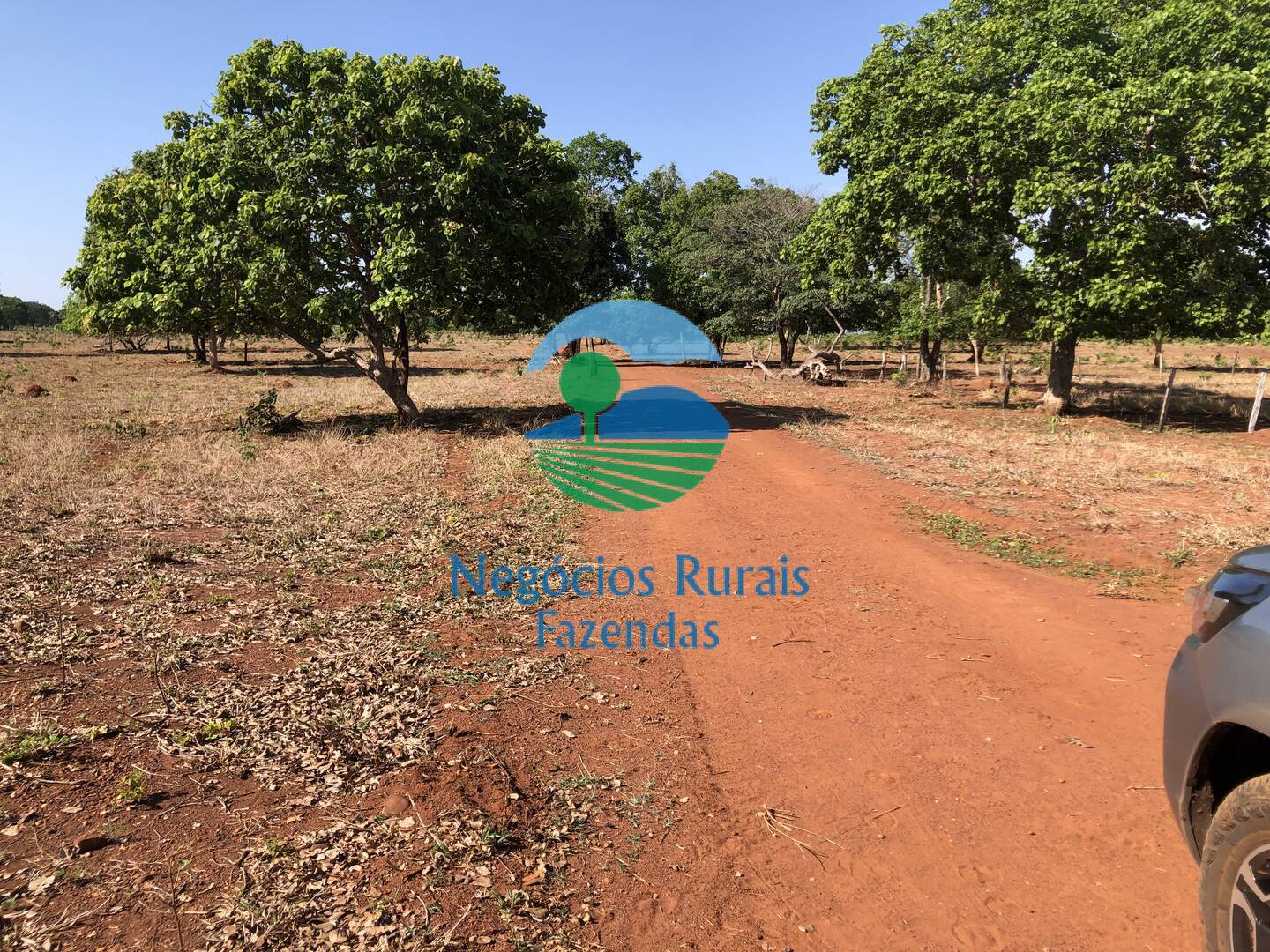 Fazenda de 1.258 ha em Palmeirópolis, TO