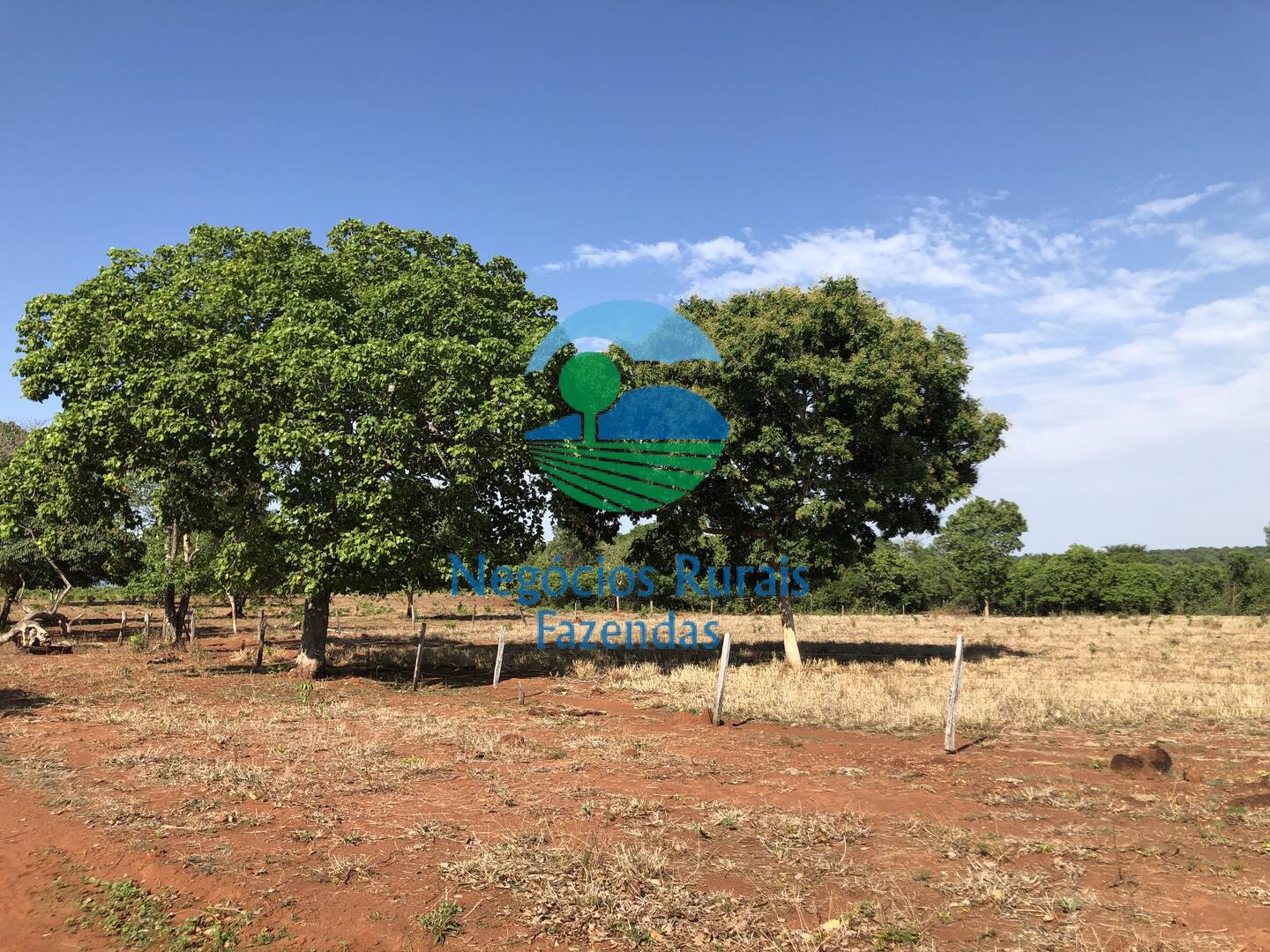 Fazenda de 1.258 ha em Palmeirópolis, TO