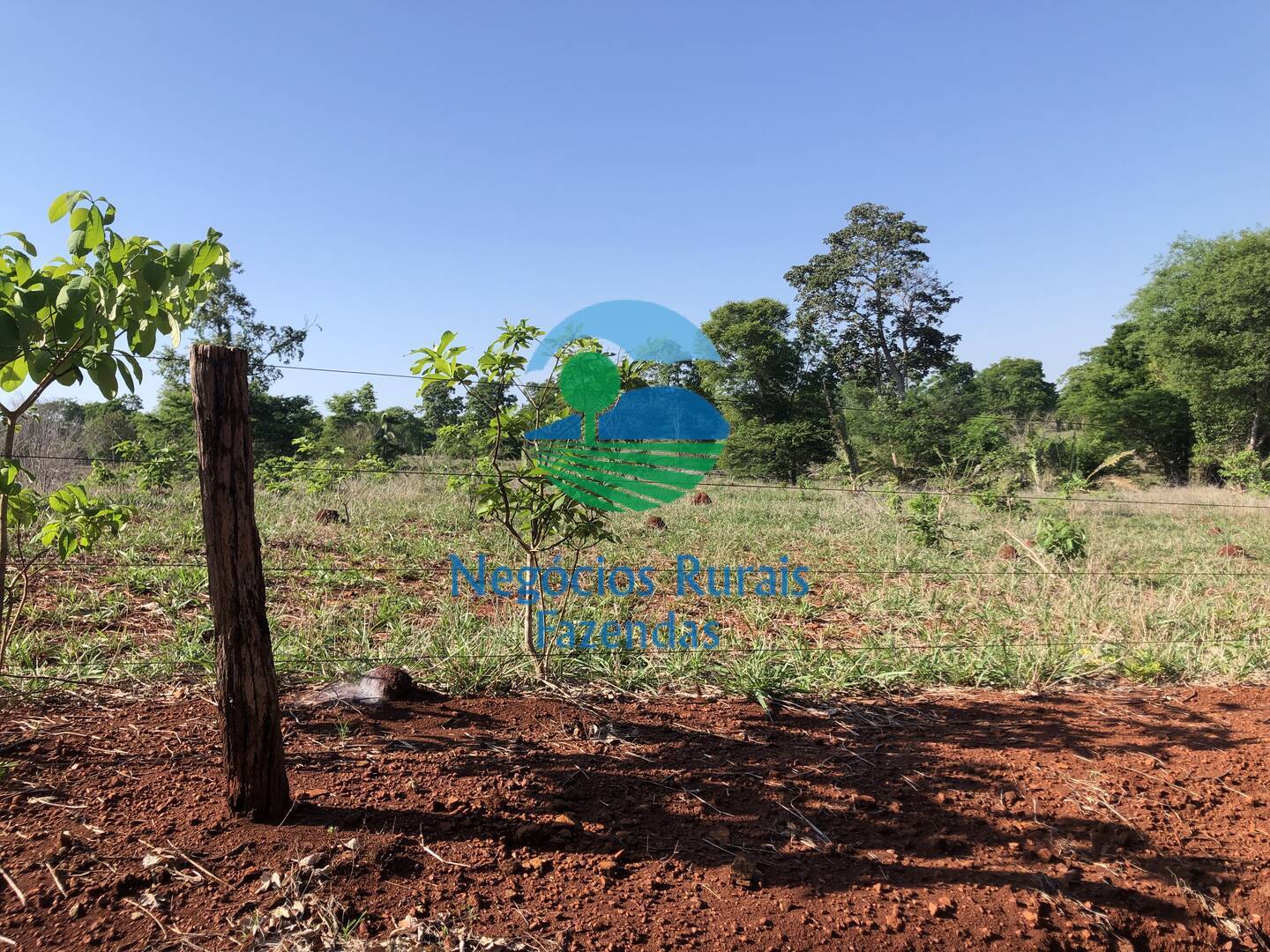 Fazenda de 1.258 ha em Palmeirópolis, TO