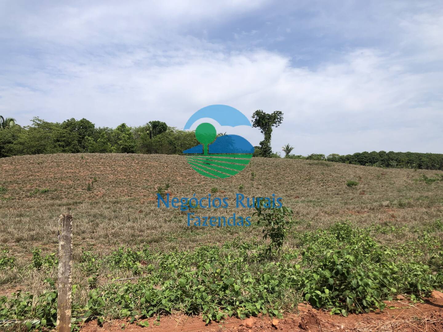 Fazenda de 1.258 ha em Palmeirópolis, TO