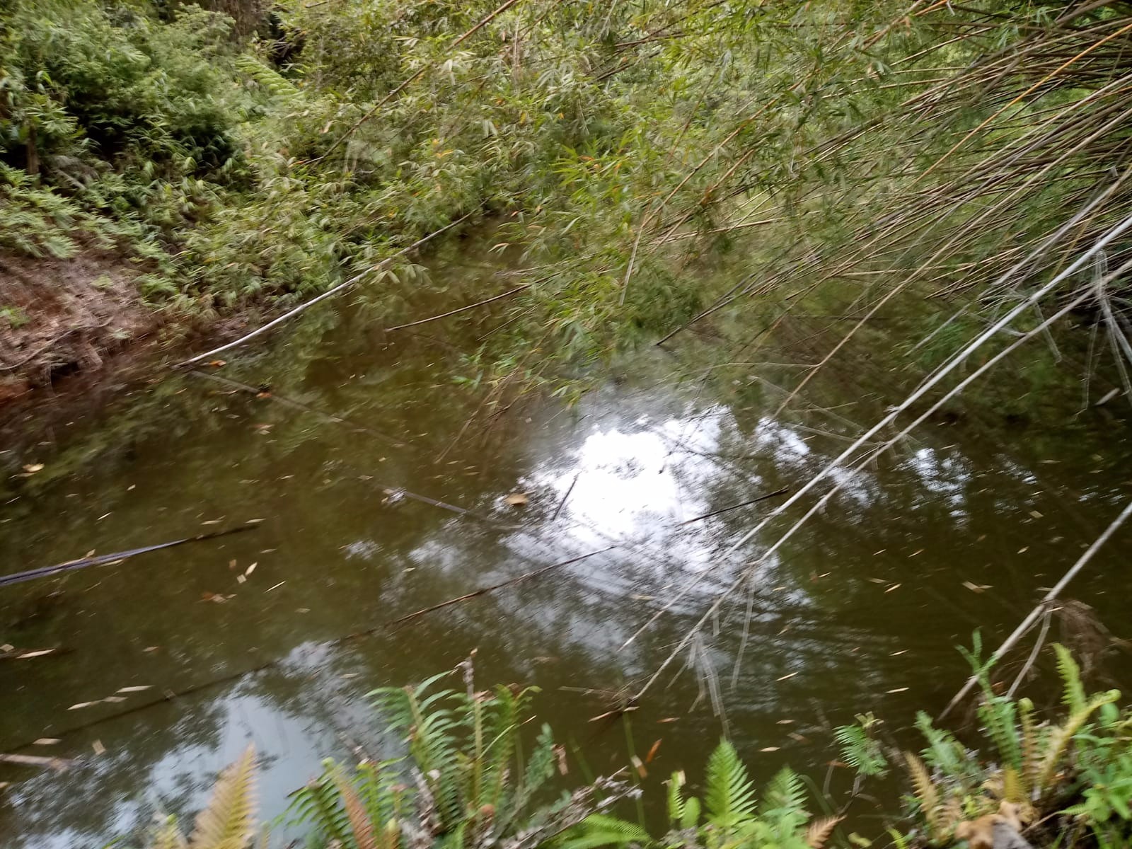 Sítio de 10 ha em São José dos Campos, SP