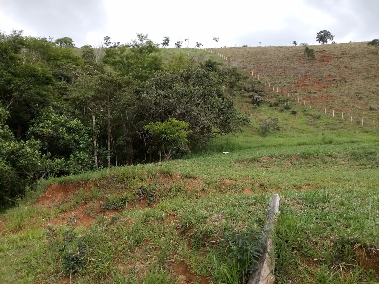 Sítio de 10 ha em São José dos Campos, SP