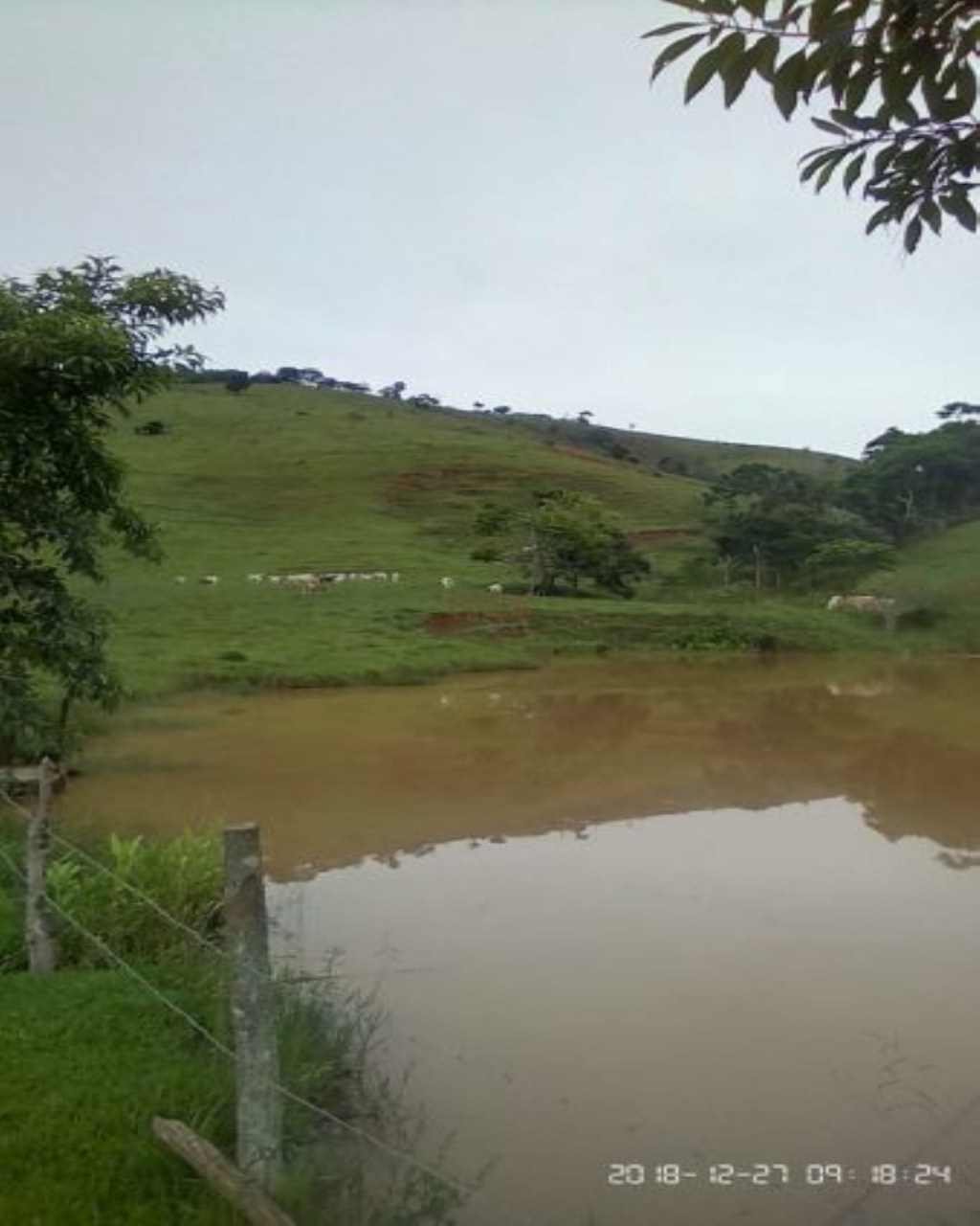 Fazenda de 131 ha em Jacareí, SP