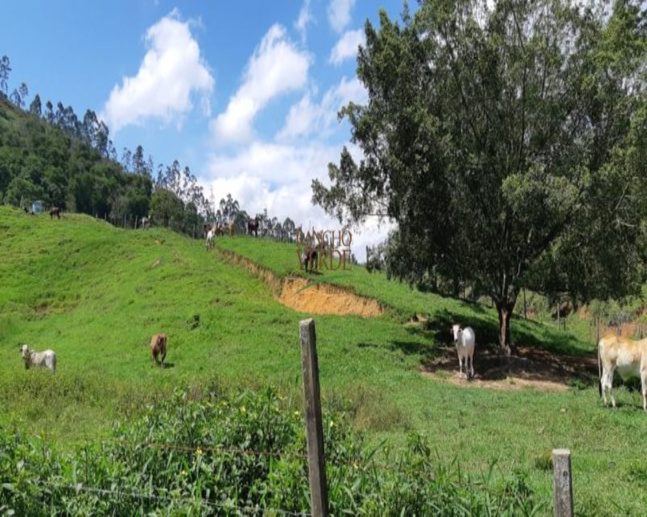 Fazenda de 131 ha em Jacareí, SP