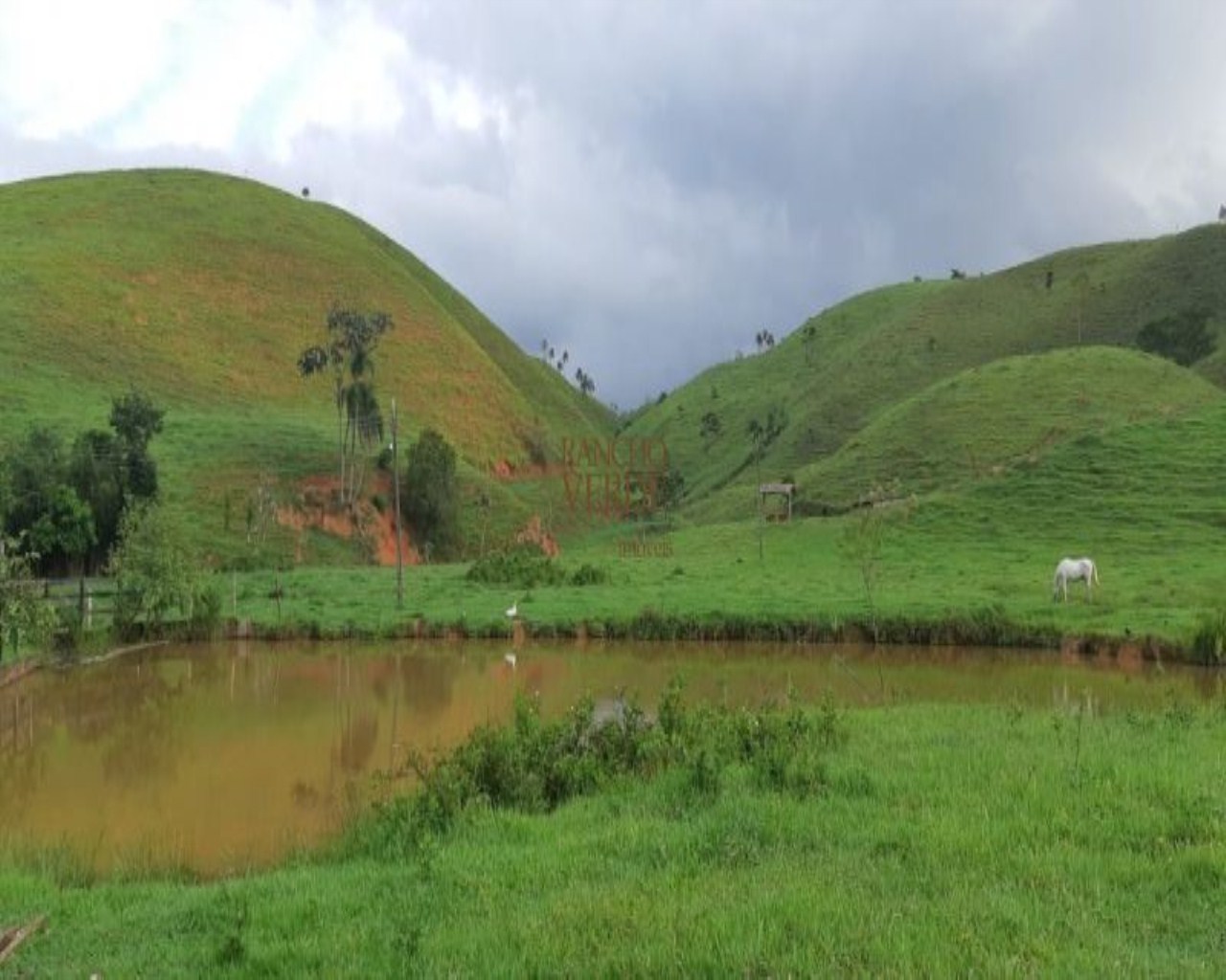 Fazenda de 131 ha em Jacareí, SP