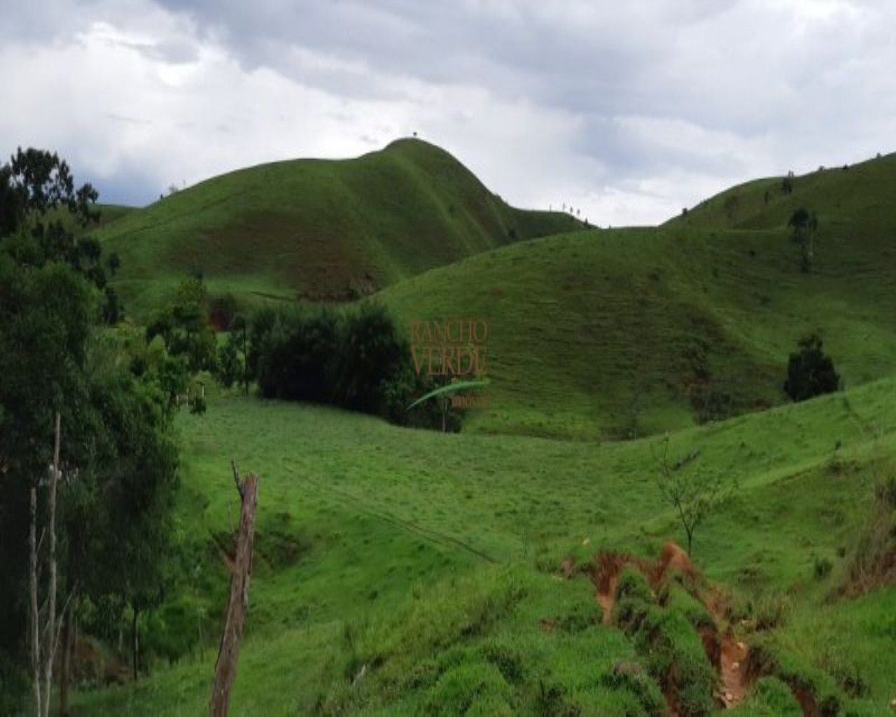 Fazenda de 131 ha em Jacareí, SP