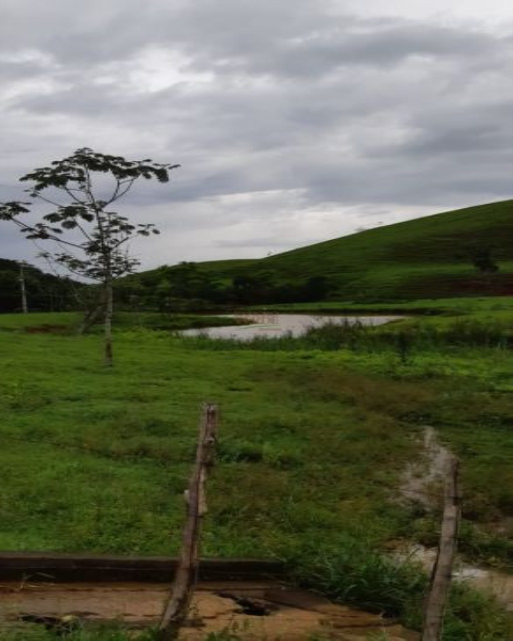 Fazenda de 131 ha em Jacareí, SP