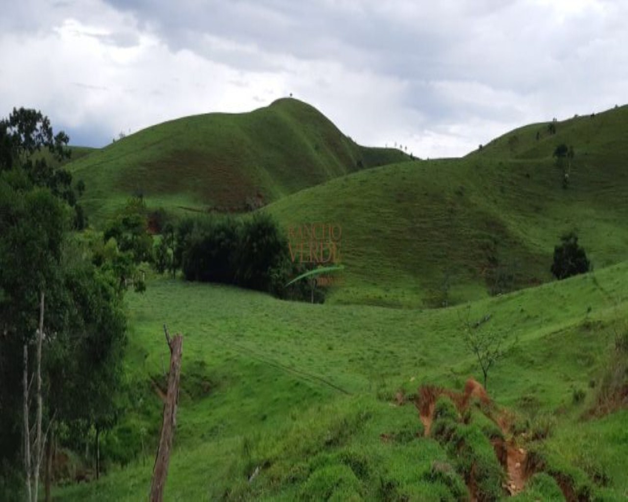 Fazenda de 131 ha em Jacareí, SP